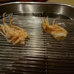 てんぷら 深町 - 海老のおかしら