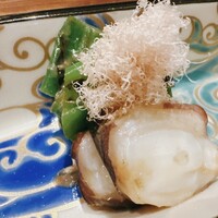 弧柳 - 
