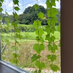 リストランテ シエロ - 