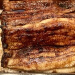 茶つぼ - 【'24.8】うな重