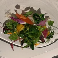 レフェルヴェソンス - 