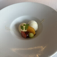 Wattle Tokyo -  Wattle Tokyo -
