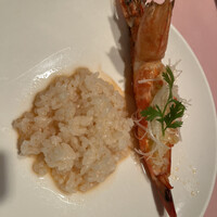 シェフス -  シェフス -