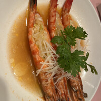 シェフス -  シェフス -