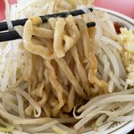 ラーメン もっけだの - 『油そばニンニク野菜マシマシガリマヨなし』の麺