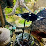 竹やぶ - 内観②