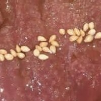 焼肉 ワガママ気まま - 