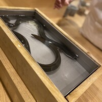 三宅輝 - 