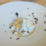 THE HIRAMATSU HOTELS&RESORTS - ポップコーンのエスプーマ シルキーコーンのスープ　黒トリュフと共に