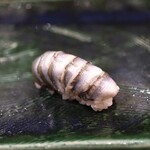 にぎり鮨 一五〇 - シンコ