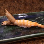 にぎり鮨 一五〇 - 車海老