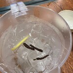 スパイス欧風カレー PAIKAJI - 