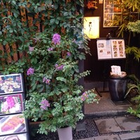 花かぐら - 