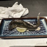 寿司 なかご 別邸 - 