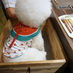 やさいや 鉄板焼野菜 - 木箱に収まるベアトリーチェ