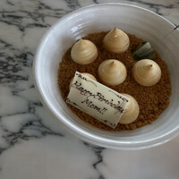 THE APOLLO - 