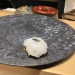 鮨 奏 - アオリイカ