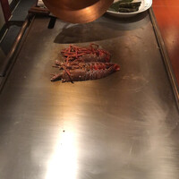 銀熊茶寮 - 
