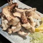 かっぱ園 - ゲソ！！