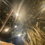 ビストロバンビーナ 横浜駅前店 - 