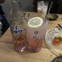 恵比寿ビストロ 猫も杓子も - 