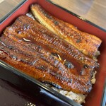 鰻の寝床 うな福 - 料理写真:うな重上（3/4尾）ご飯250g（200g〜350g）
2500円