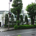 ツキ シュール ラメール - 