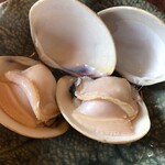 大和 - ハマグリ