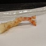 257912192 - 才巻海老
