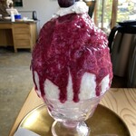 季節のくだもの 団吉氷店 - 葡萄とジャスミン！1800円！