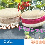 la plage - 当店大人気のアイスマカロンバーガーに夏のNewフレーバーが２つ登場♪
爽やかな香りの【アールグレイ】と甘さと酸味のバランスが絶妙な【ドラゴンフルーツ】はこの夏限定の贅沢な味わい✨
お見逃しなく！