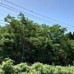 自然食　そゑ川 - 