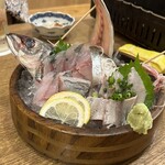 浜焼き海鮮居酒屋 大庄水産 - 鯵と鰯刺し