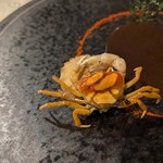 ビストロ セレニテ - 