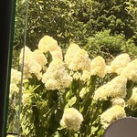 大江ノ郷自然牧場　ココガーデン - 