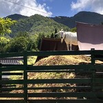 大江ノ郷自然牧場　ココガーデン - 