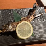 シンシュウ 季野鼓 - 