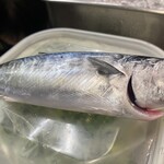 なとな - 新子状態　　小さい