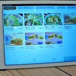 ZiOフォー ベトナム料理 - 