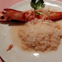 シェフス -  シェフス -