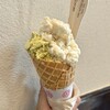 アルカション 本店