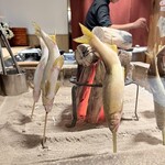 炭の音 あすと - 