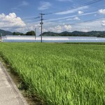 よかもんいちご研究所 - 