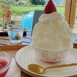 よかもんいちご研究所 - 