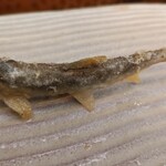 天麩羅 おばた - 鮎