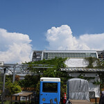 NIBOSHI MANIA - かまたえんと夏空