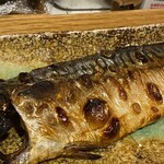 ザ テイショク ショップ - 