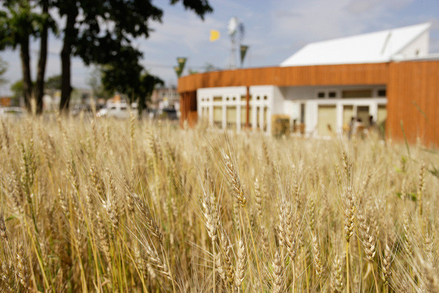 麦音  - 帯広（パン）の写真