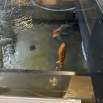 そば処 緑寿庵 - 