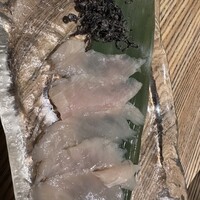長者町 焼肉 輪心 - 
